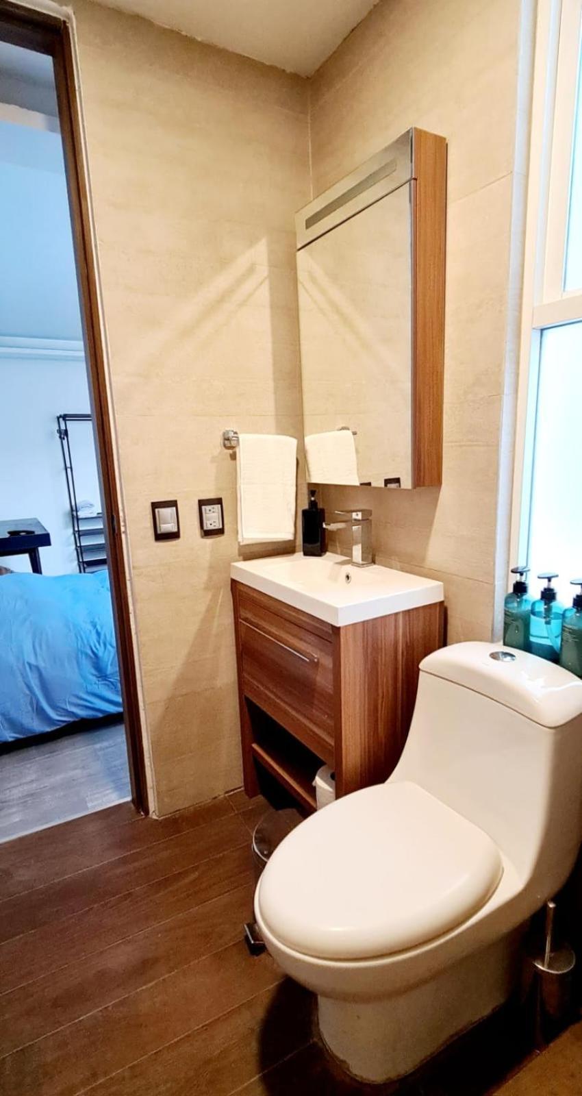 Calida Casa Pet Friendly, Cdmx Apartment Mexico City Ngoại thất bức ảnh