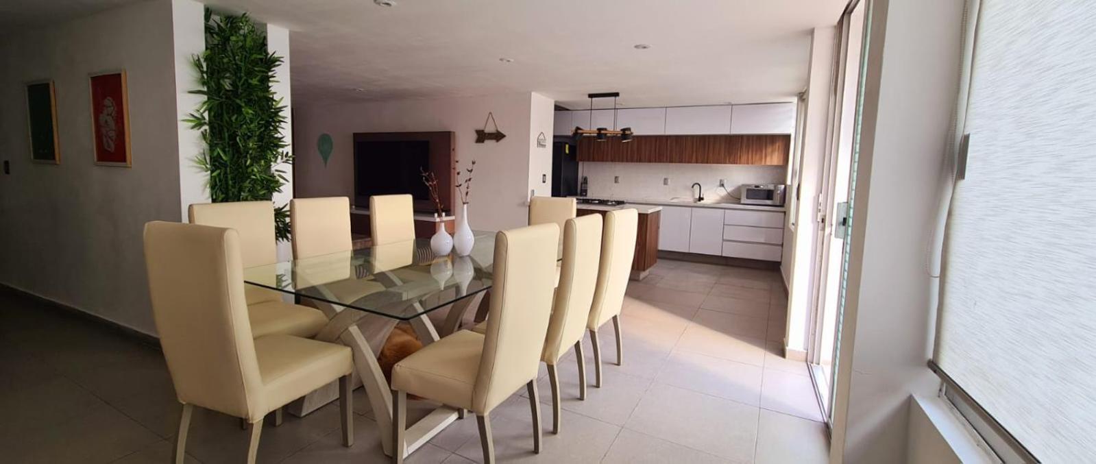 Calida Casa Pet Friendly, Cdmx Apartment Mexico City Ngoại thất bức ảnh