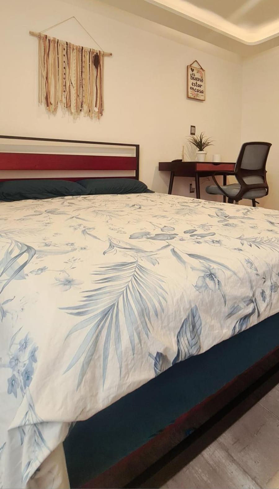 Calida Casa Pet Friendly, Cdmx Apartment Mexico City Ngoại thất bức ảnh